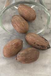 Pecans in shell